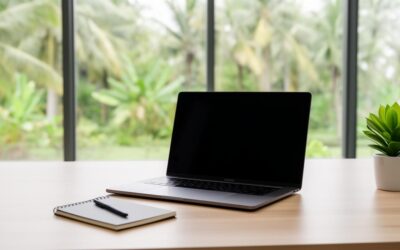 How digital my business: website creator in siem reap helps boost your local search rankings